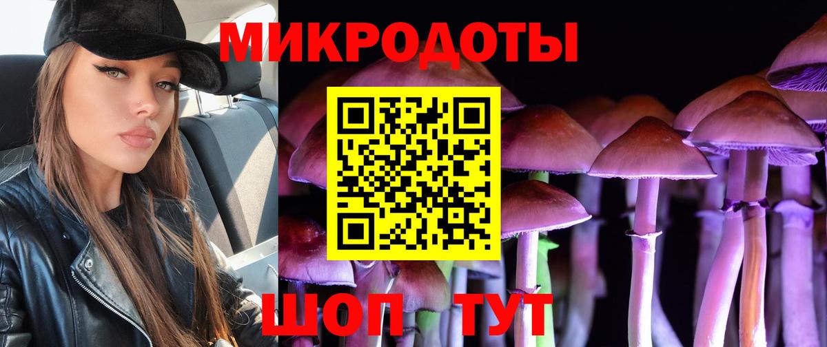 Галлюциногенные грибы Psilocybe  Вход с VPN  Мичуринск 